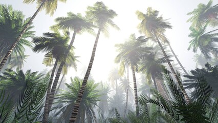 Dschungel im Nebel, Palmen im Dunstboden, Morgendschungel, Regenwald im Nebel, 3D-Rendering © ustas