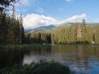 View of Vrbicke pleso, forest lake, tarn with reflection of forest trees in water surface, Demanovska dolina in Low Tatras mountains, Slovakia. Summer morning, golden light © Kristyna