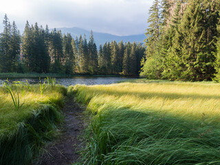 View of Vrbicke pleso, forest lake, tarn with reflection of forest trees in water surface, Demanovska dolina in Low Tatras mountains, Slovakia. Summer morning, golden light © Kristyna
