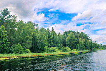 Russian nature. Russian forest, Russian river.