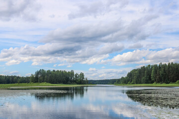Russian nature. Russian forest, Russian river.