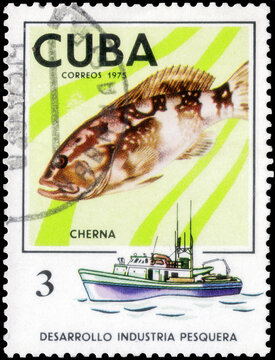 Postage stamp issued in the Cuba with the image of the Angler and Grouper, Epinephelus. From the series on Development of fishing industry, circa 1975