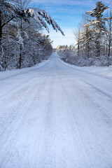 Snow covered road and forest in central Wisconsin in January