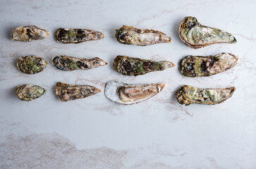 Obraz premium Дикие Императорские устрицы на льду с дольками лимона. Wild Imperial oysters on ice with lemon wedges.