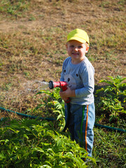 Little boy watering the vegetable garden