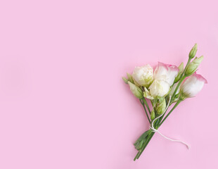 eustoma flower on a colored background summer