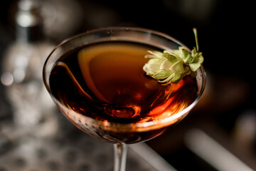 close-up of martini glass with alcoholic drink decorated with green plant of hop