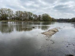 river in the forest