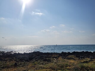 sea view of the Jeju Island when a sunny day