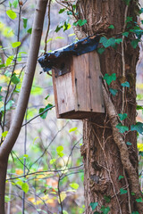 Nichoir pour les oiseaux