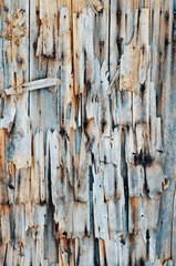 559-24 Barn Door Weathering