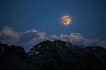 Moonrise Over the Trees and Clouds in Enniskerry, County Wicklow