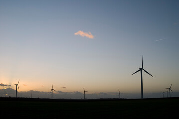 Windkrafträder in Abendstimmung