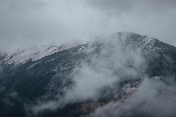 the magic of the Carpathian forest