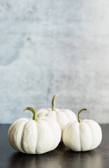 White Pumpkin Thanksgiving Decor, Elegant Fall Decor White Pumpkins