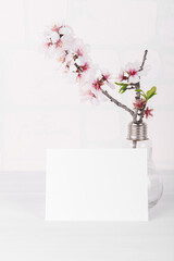 White empty card mockup with blooming almond tree branch. Valentine's Day card for your love