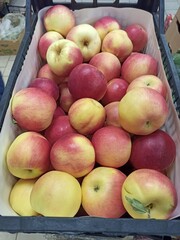 apples in the market
