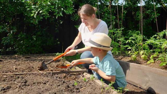 Happy little boy helping his mother working in garden and planting vegetables. Family having time together. People working in garden.