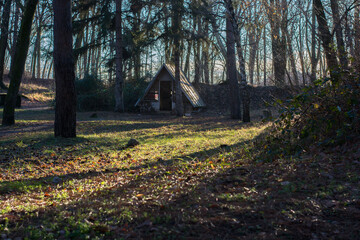 Fototapete bei efototapeten.de bestellen   