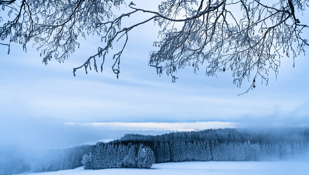 Winterlandschaft im M&uuml;hlviertel mit gefrorenen &Auml;sten und Blick auf einen Tannenwald