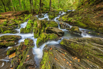 Selke river with moss-covered rocks. Selke waterfall in the southern Harz with deciduous trees on the river bank. Yellow leaves on the surface of the water on a rainy autumn day