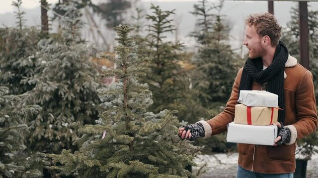 Winter holidays preparation. A young manis going to buy a beautiful christmas tree. He is choosing a tree at outdoor market.