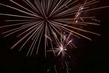 Obraz premium Feu d'artifice
