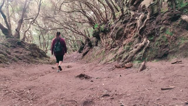 Woman walking along a path in a forest