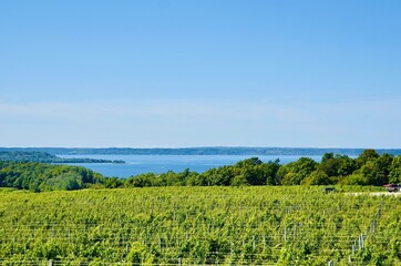Fototapeta na wymiar Beautiful scenic view of vineyard, farmland, lake, from the winery in Old Mission Peninsula, Michigan. 