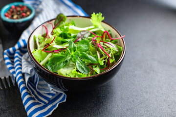 fresh green salad lettuce mix juicy microgreens snack ready to eat on the table healthy meal snack top view copy space for text food background rustic image keto or paleo diet