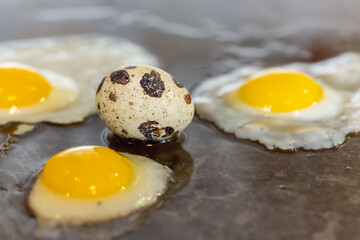 Close up shot of multiple protein rich quail eggs being fried, with one non fried egg, placed in oil on a frying pan
