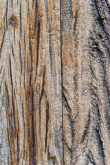 Obraz premium Textured natural wood background with golden highlighted grooves. Ancient wood in detail, grooves and veins, artistic composition. Old plank wooden wall background. The texture of old wood. Weathered