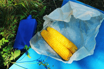 Picnic outdoors on a summer sunny day. Vegan lunch. Boiled sweet corn. Reusable water bottle....