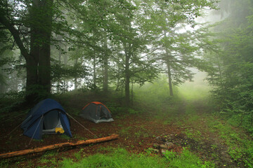 Camp in the woods of Little Beskids, Poland