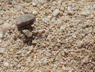 Fondo con textura de arena de playa con piedras de diferentes tamaños.