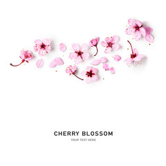 Cherry blossom, pink sakura spring flowers.
