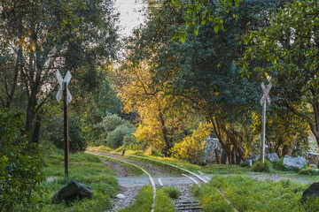 Autumn - winter landscape in the forest, beautiful sunset with golden light, which enters through the branches of the trees, between the forest the train tracks and advertisements appear.