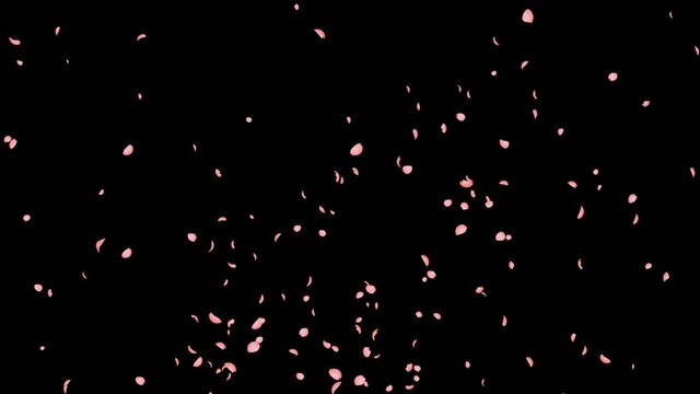 桜のクラッカー1-両サイド