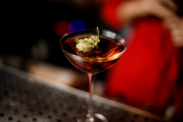 close-up view of martini glass with alcoholic drink decorated with green plant of hop