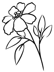 Abstract flower illustration Sketch Hand Drawn illustration black line. Vector doodle