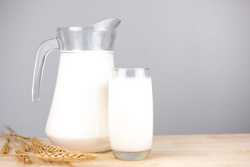 Jug of fresh milk glass on barley wheat and wooden background. Raw milk is high in calcium and protein to drink for all ages. Milk consumption nutritious and healthy dairy products concept.