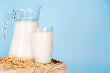 Jug and bottle of fresh milk glass on barley wheat and wooden crate box on a blue background.Raw milk is high in calcium and protein to drink for all ages.Milk consumption nutritious.
