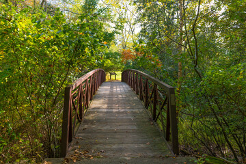 Wooden Bridge Surrounded by Foliage