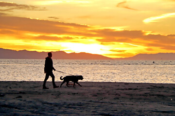 A man walks a dog along the beach at dawn in Santa Barbara, California