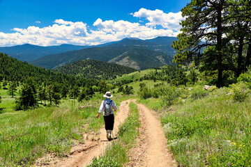 Obraz premium A hiker on Colorado's Elk Range Trail in Jefferson County west of Golden