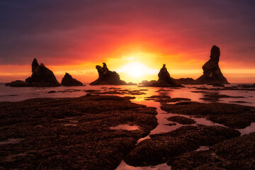 Beautiful view of a scenic landscape at the Ocean Coast. Taken at Shi Shi Beach in Neah Bay, West of Seattle, Washington, United States of America. Colorful Sky Art Render