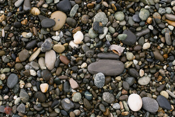 Rocky sea beach. Background .
