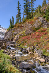 Majestic mountain river with mountain background in Vancouver, Canada.