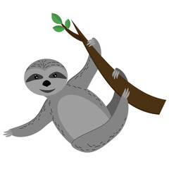 Sloth hanging on a branch, cute sleepy gray animal in flat style, woody animal in nature © SunnyColoring