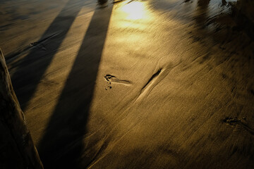 Foot Steps in sand with shadows of pier. At sunset